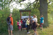 Enviromentalni-vychova Enviromentalni-vychova
